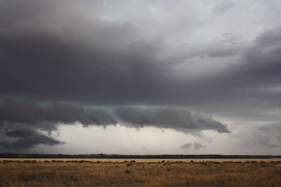 cumulonimbus thunderstorm_base : near North Star, NSW   31 October 2007