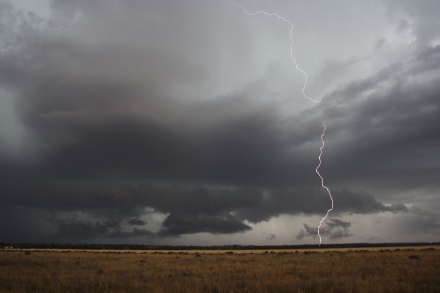 cumulonimbus thunderstorm_base : near North Star, NSW   31 October 2007