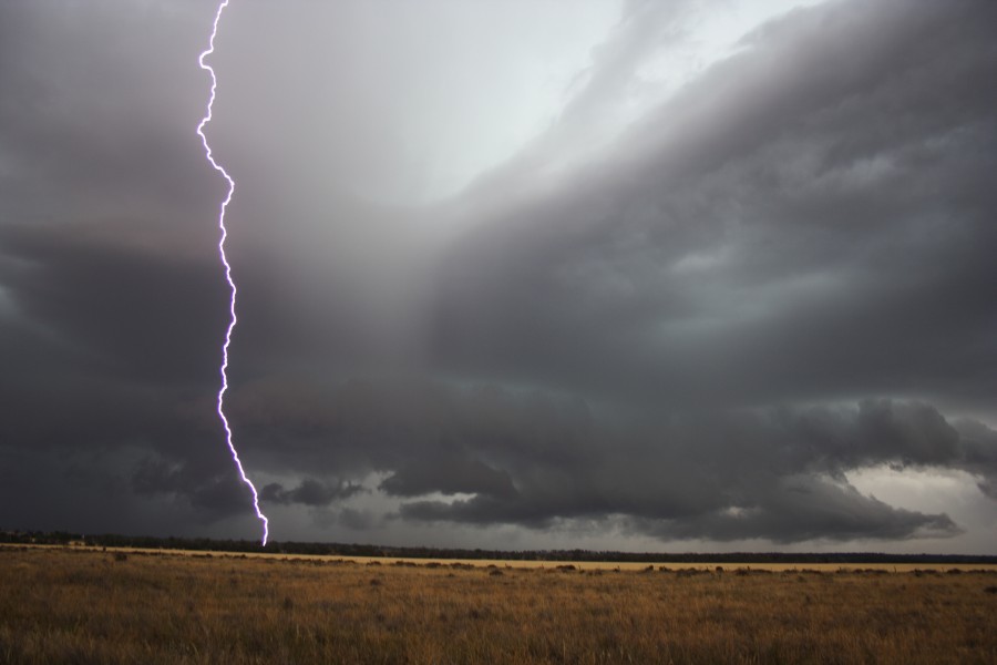 lightning lightning_bolts : near North Star, NSW   31 October 2007