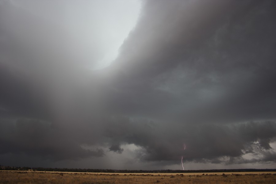 shelfcloud shelf_cloud : near North Star, NSW   31 October 2007