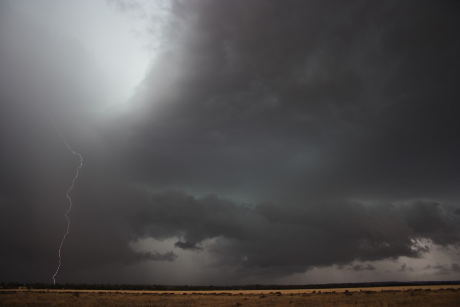 cumulonimbus thunderstorm_base : near North Star, NSW   31 October 2007