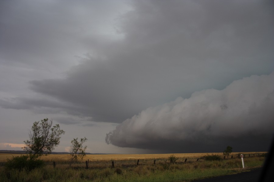 cumulonimbus thunderstorm_base : near North Star, NSW   31 October 2007