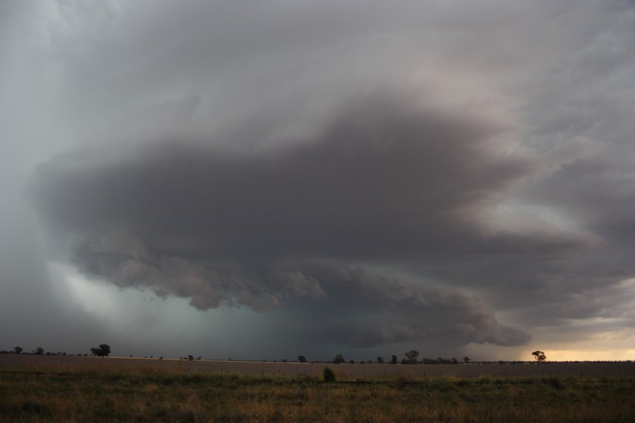 shelfcloud shelf_cloud : near North Star, NSW   31 October 2007