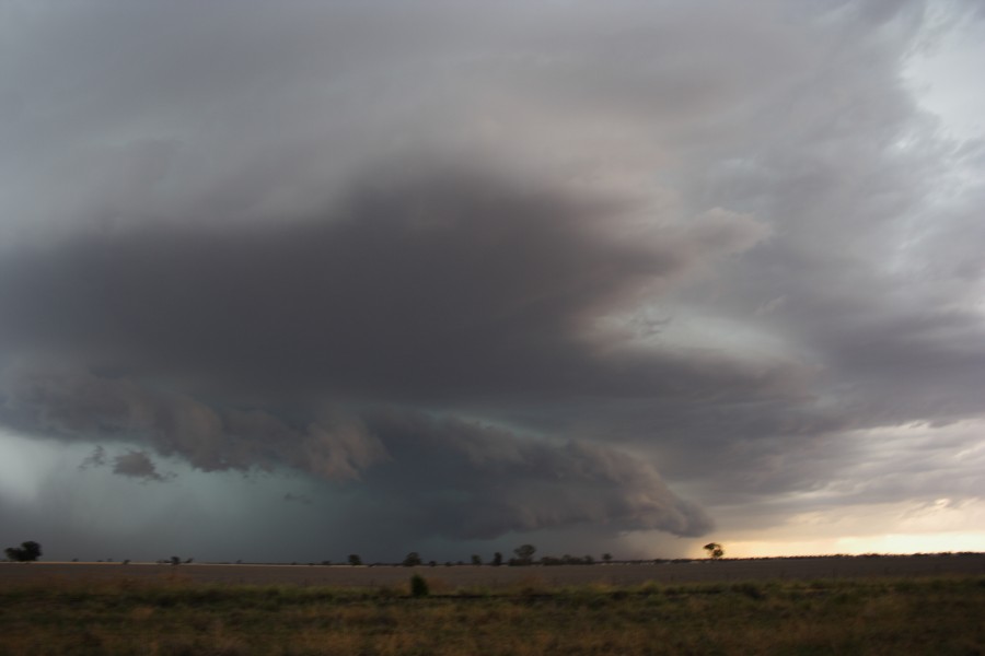 cumulonimbus thunderstorm_base : near North Star, NSW   31 October 2007