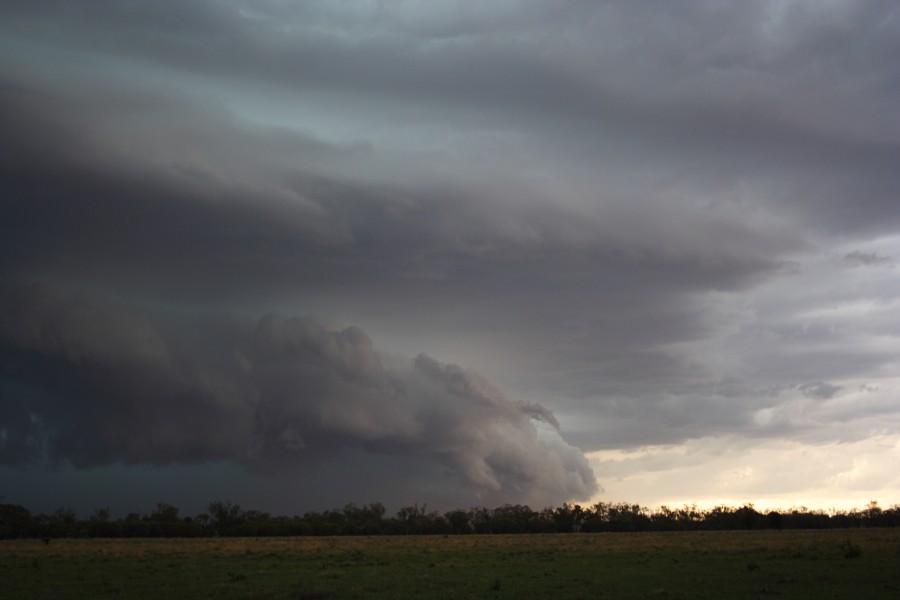 cumulonimbus thunderstorm_base : near North Star, NSW   31 October 2007