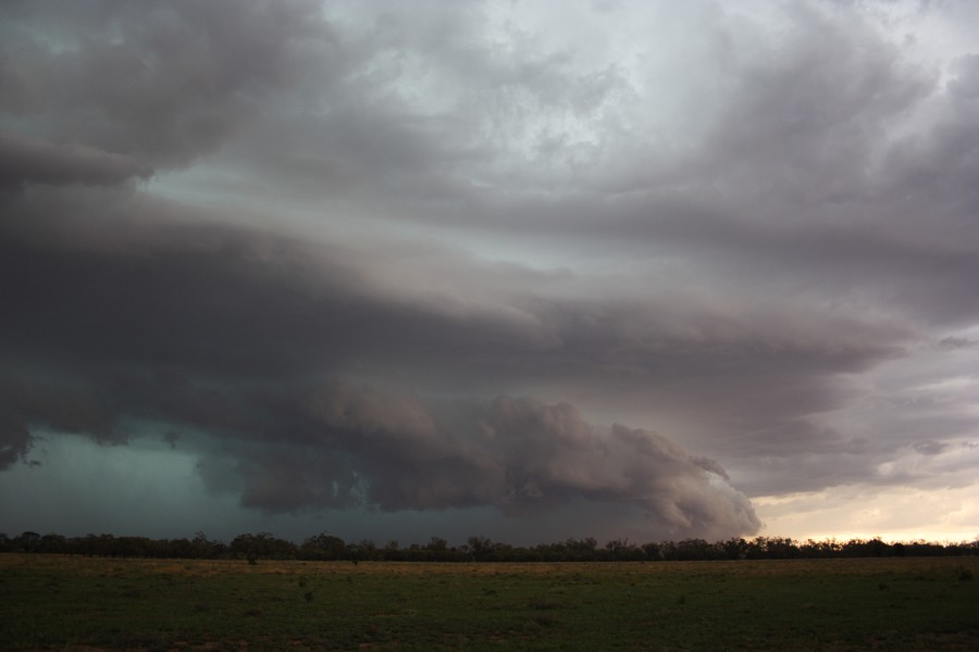 cumulonimbus thunderstorm_base : near North Star, NSW   31 October 2007