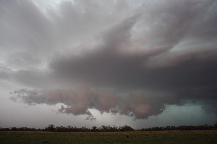 shelfcloud shelf_cloud : near North Star, NSW   31 October 2007