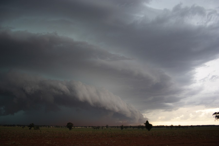 shelfcloud shelf_cloud : near North Star, NSW   31 October 2007