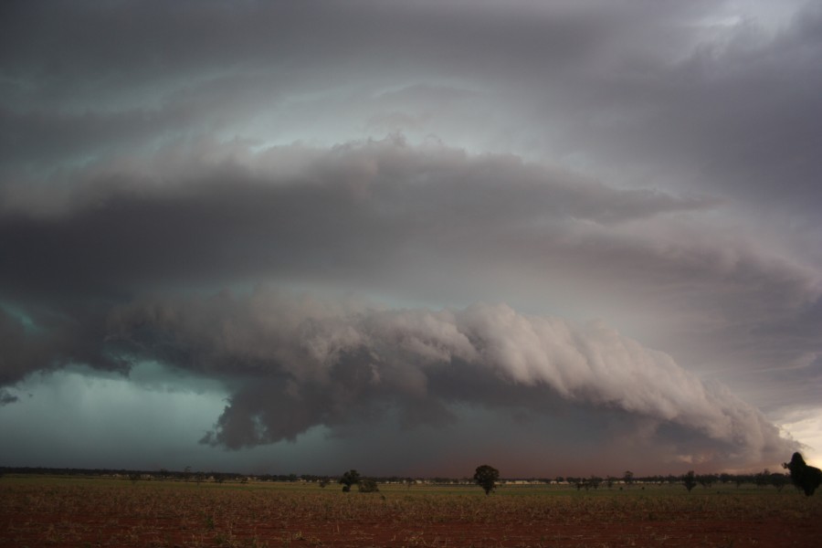 cumulonimbus thunderstorm_base : near North Star, NSW   31 October 2007