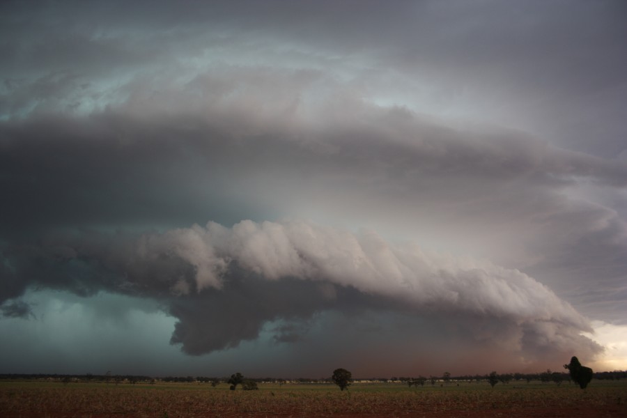 cumulonimbus thunderstorm_base : near North Star, NSW   31 October 2007