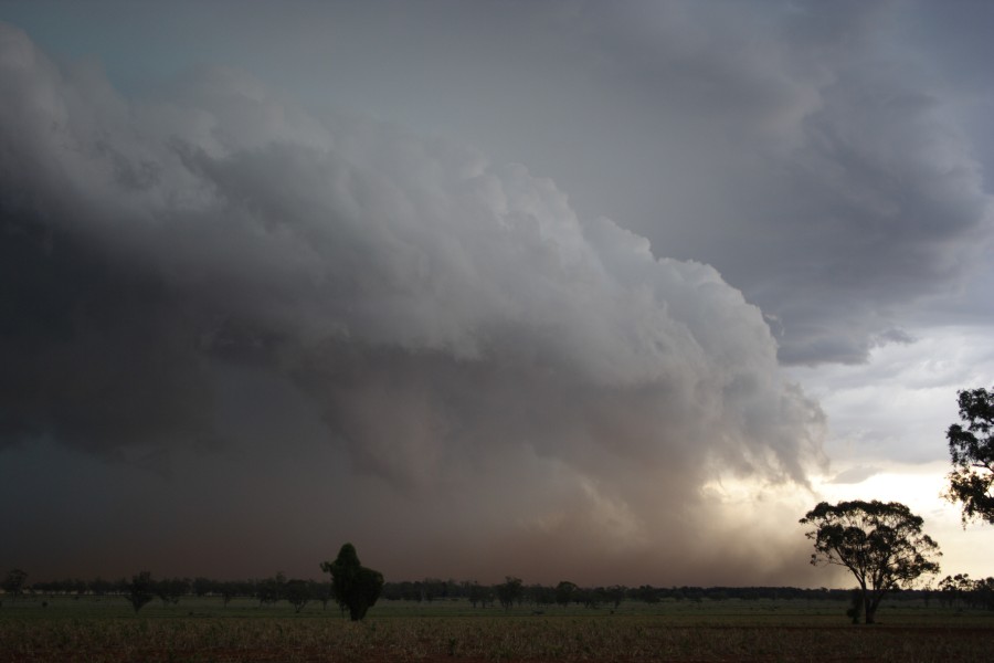 shelfcloud shelf_cloud : near North Star, NSW   31 October 2007