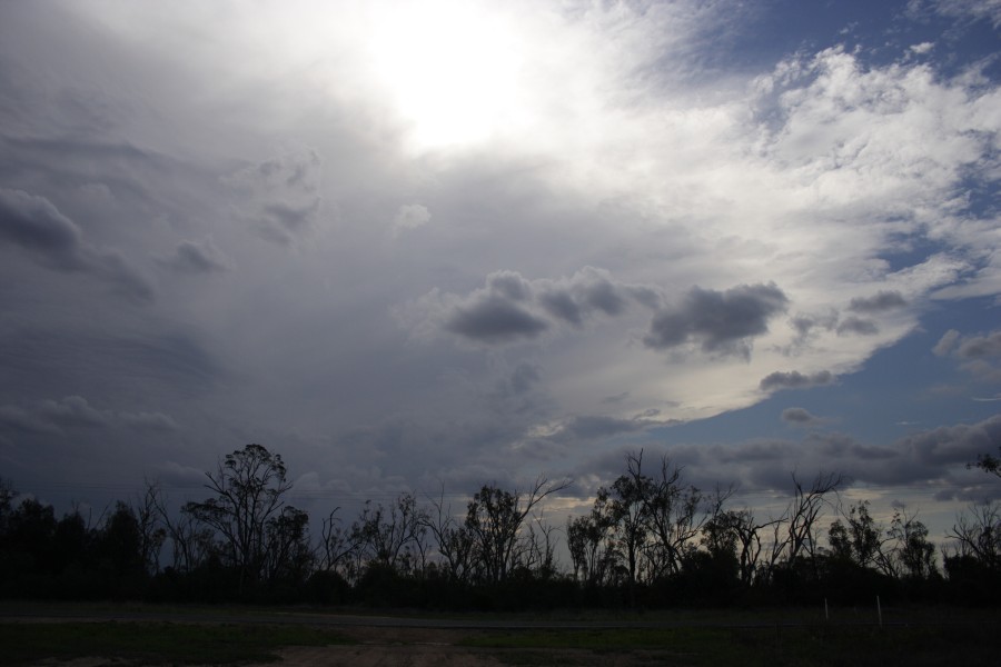 thunderstorm cumulonimbus_incus : near Goondiwindi, Qld   1 November 2007