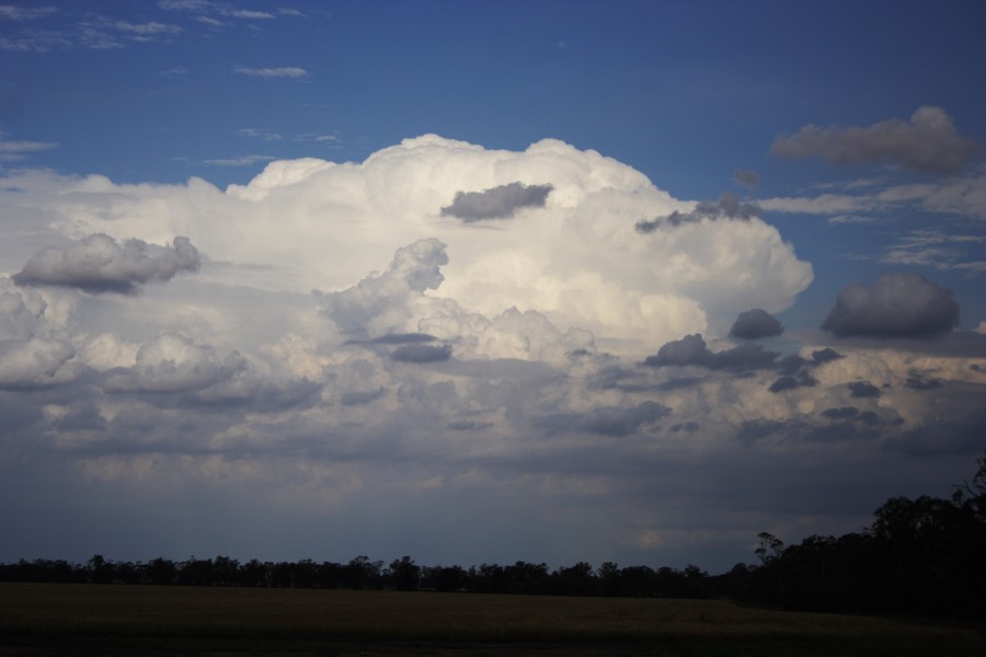 thunderstorm cumulonimbus_incus : near Goondiwindi, Qld   1 November 2007