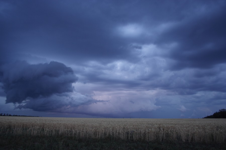 lightning lightning_bolts : N of Goondiwindi, Qld   1 November 2007