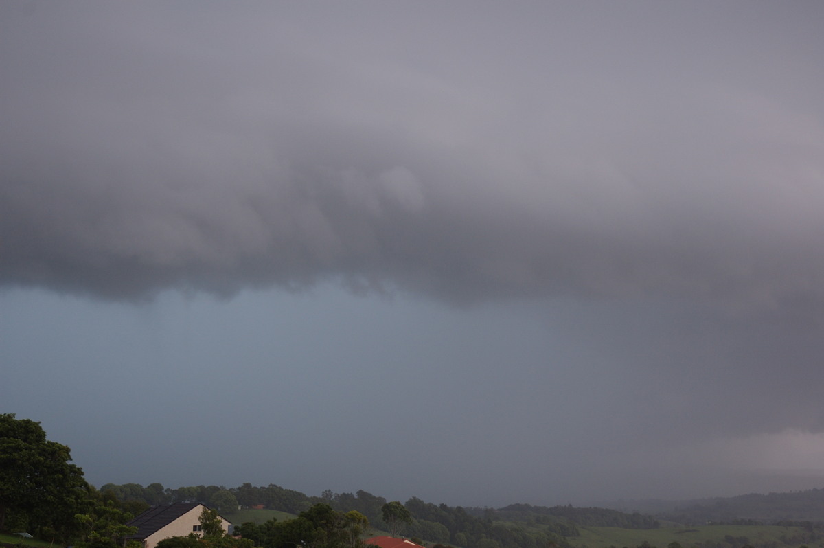 raincascade precipitation_cascade : McLeans Ridges, NSW   2 November 2007