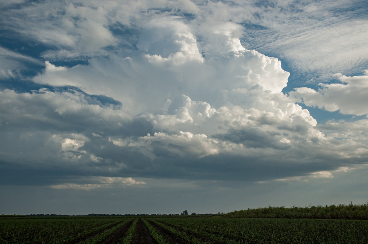 thunderstorm cumulonimbus_calvus : near Wardell, NSW   4 November 2007