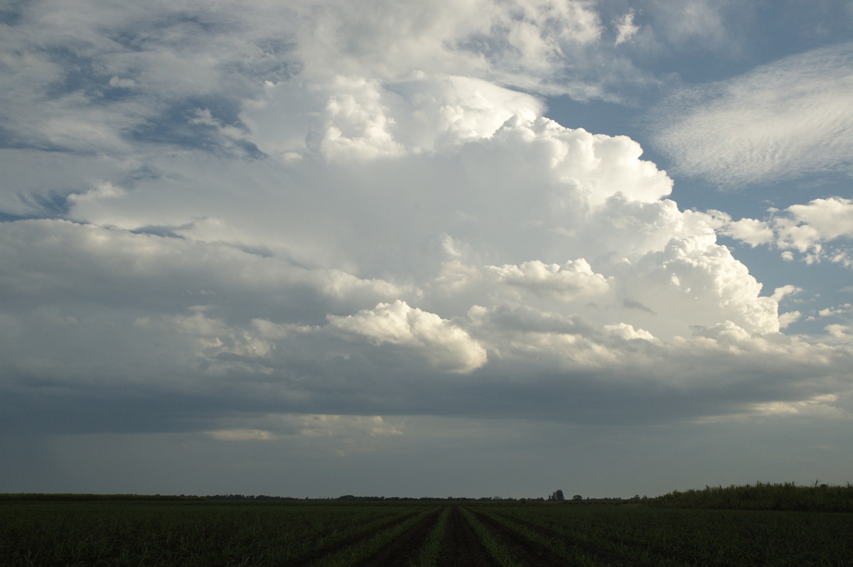 pileus pileus_cap_cloud : near Wardell, NSW   4 November 2007