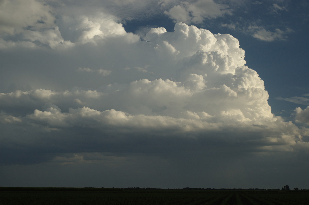 thunderstorm cumulonimbus_calvus : near Wardell, NSW   4 November 2007