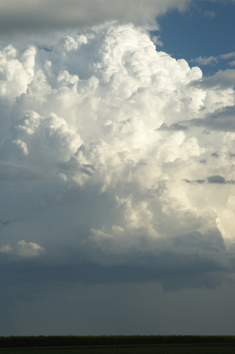 thunderstorm cumulonimbus_calvus : near Wardell, NSW   4 November 2007