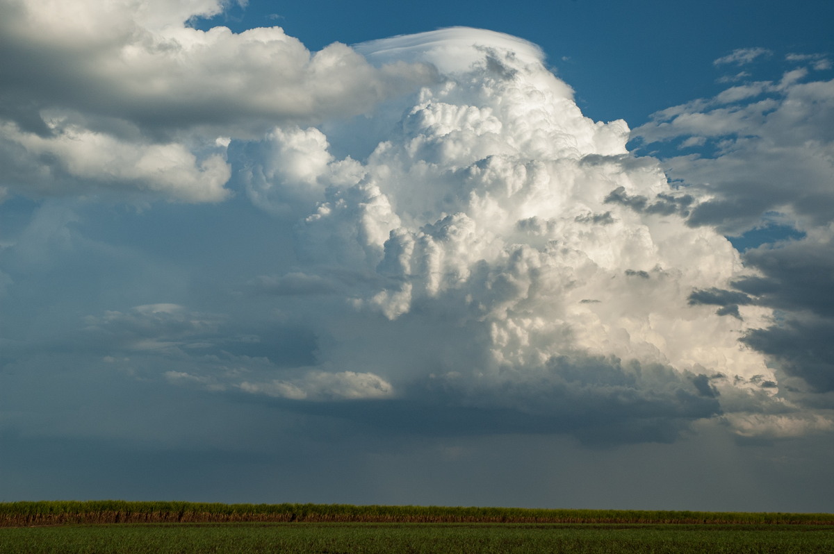 thunderstorm cumulonimbus_calvus : near Wardell, NSW   4 November 2007