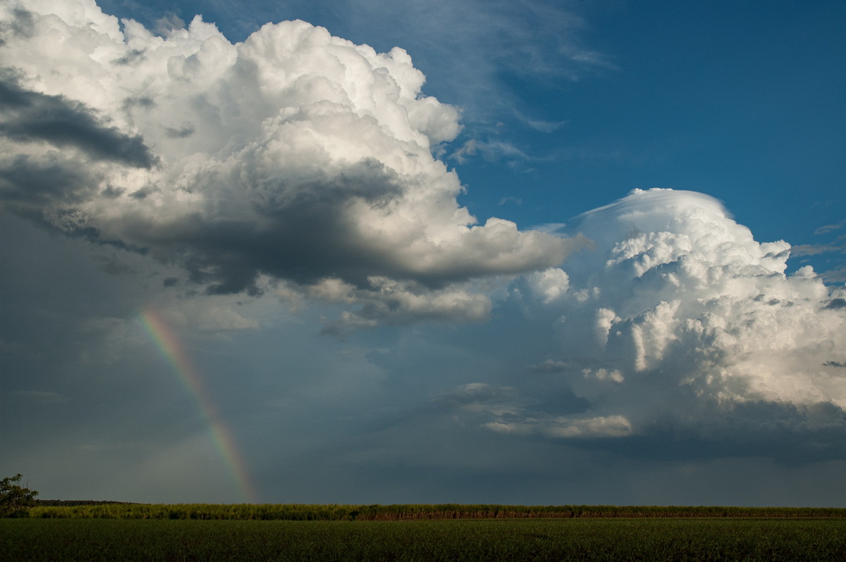 thunderstorm cumulonimbus_calvus : near Wardell, NSW   4 November 2007