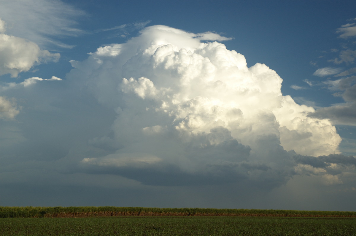 pileus pileus_cap_cloud : near Wardell, NSW   4 November 2007