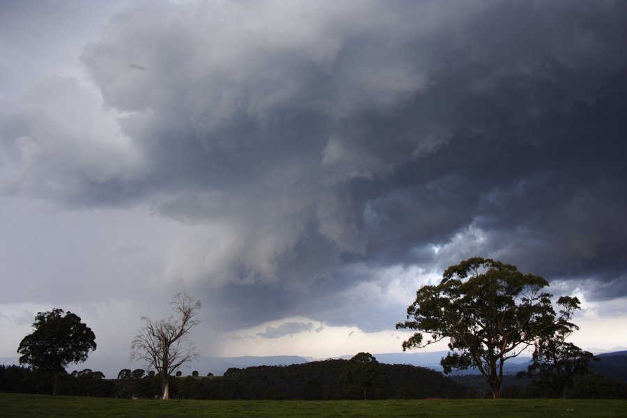 cumulonimbus thunderstorm_base : near Hampton, NSW   16 November 2007