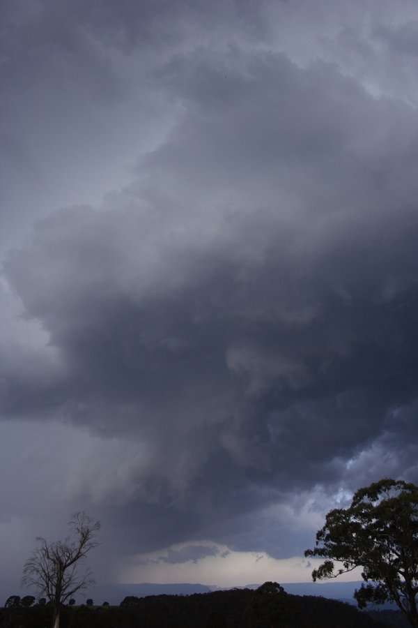 cumulonimbus thunderstorm_base : near Hampton, NSW   16 November 2007