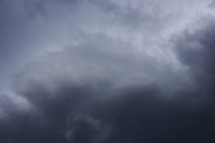 cumulonimbus thunderstorm_base : near Hampton, NSW   16 November 2007