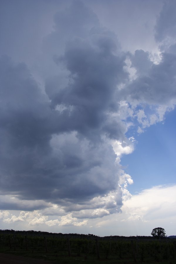 thunderstorm cumulonimbus_incus : near Berrima, NSW   17 November 2007