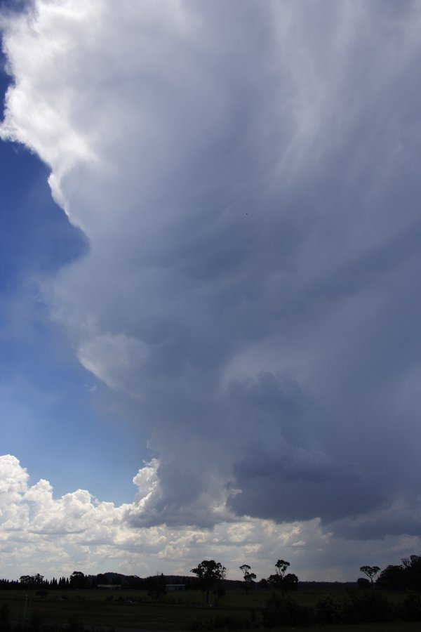 anvil thunderstorm_anvils : near Berrima, NSW   17 November 2007