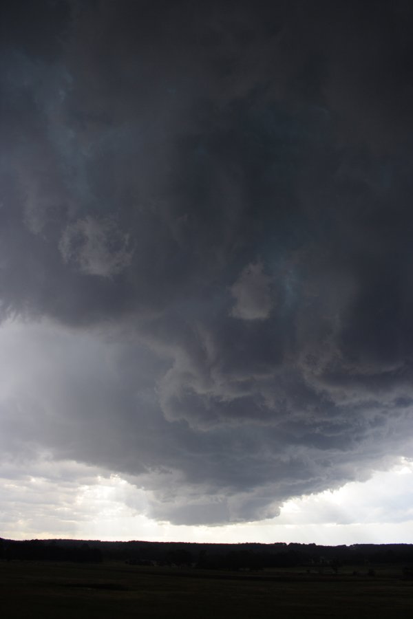 cumulonimbus thunderstorm_base : Marulan, NSW   17 November 2007