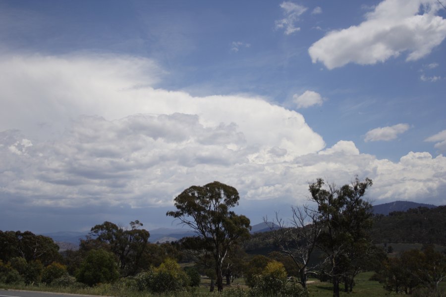 thunderstorm cumulonimbus_incus : near Queenbeyan, NSW   18 November 2007