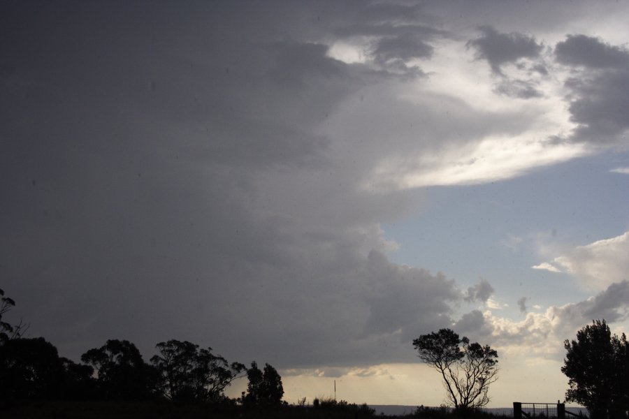 updraft thunderstorm_updrafts : near Marulan, NSW   18 November 2007