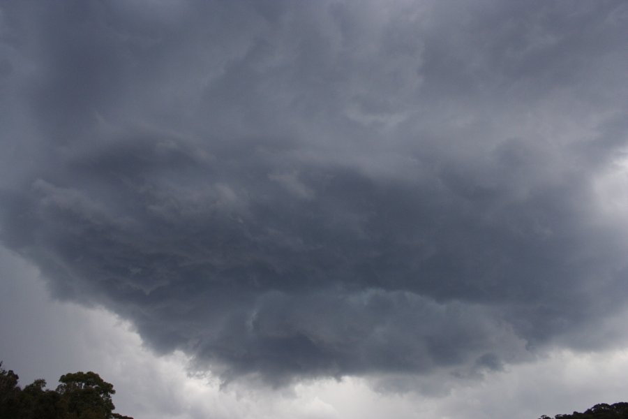 wallcloud thunderstorm_wall_cloud : Lithgow, NSW   19 November 2007