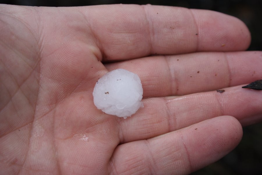 hailstones hail_stones : near Lithgow, NSW   19 November 2007