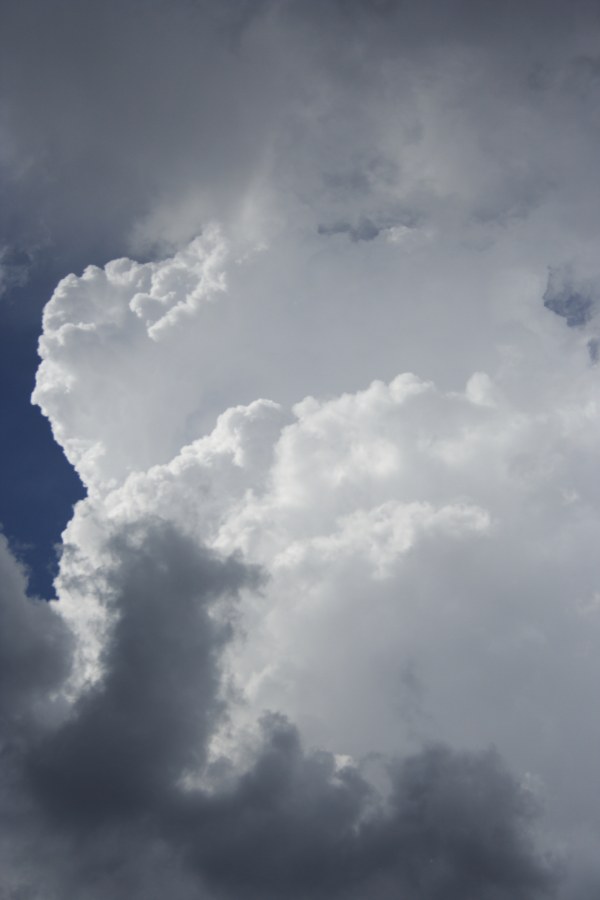 updraft thunderstorm_updrafts : Mt Victoria, NSW   21 November 2007