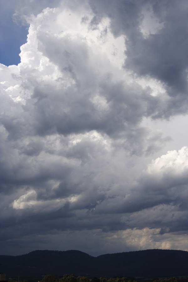 cumulus congestus : Hartley, NSW   21 November 2007