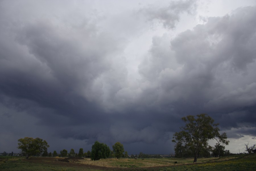 cumulonimbus thunderstorm_base : Tamworth, NSW   22 November 2007