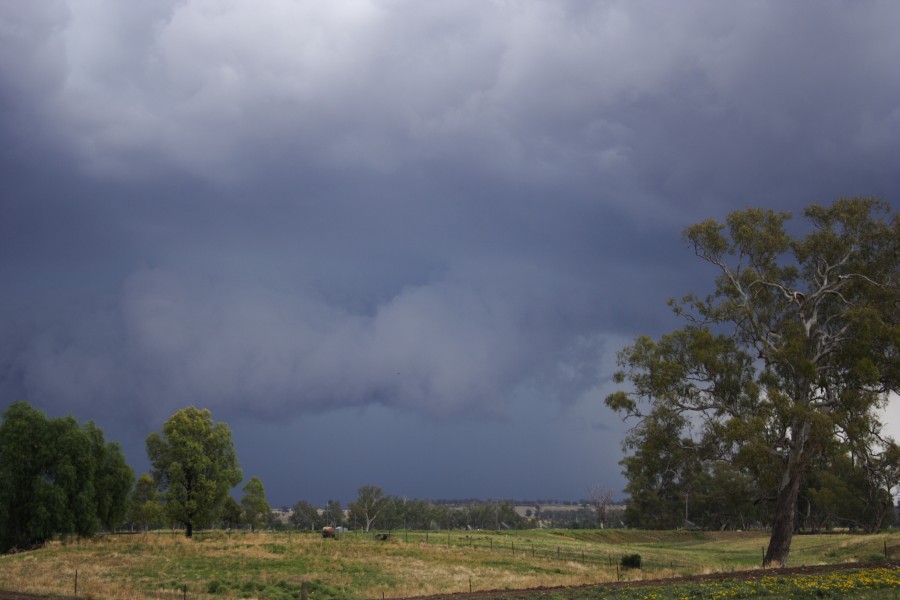 raincascade precipitation_cascade : Tamworth, NSW   22 November 2007