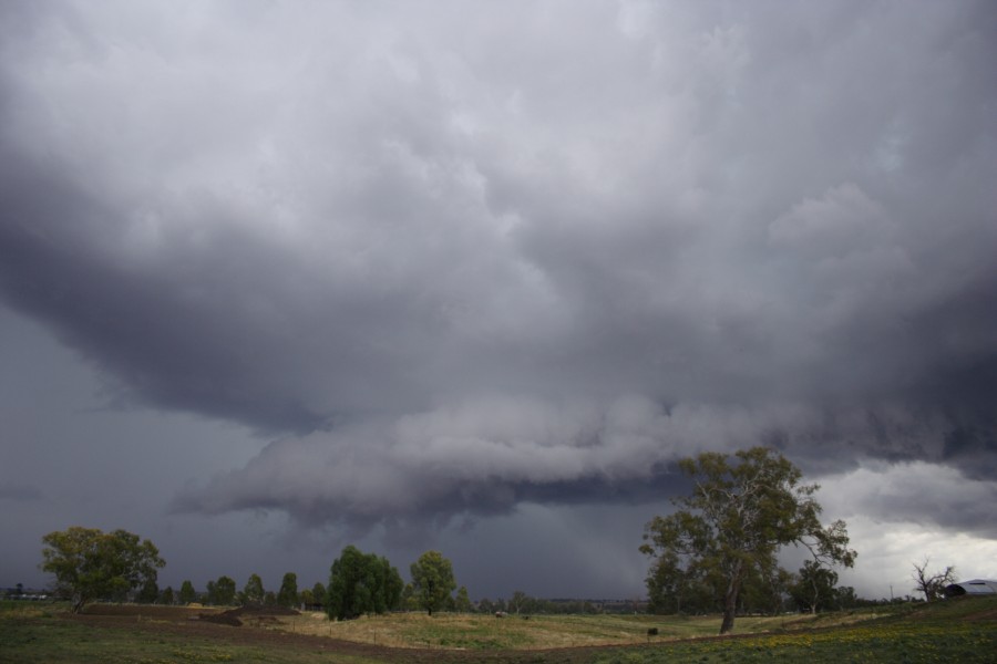 cumulonimbus thunderstorm_base : Tamworth, NSW   22 November 2007