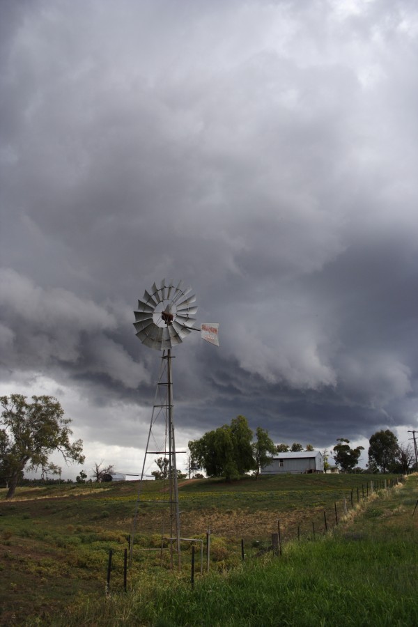 raincascade precipitation_cascade : Tamworth, NSW   22 November 2007