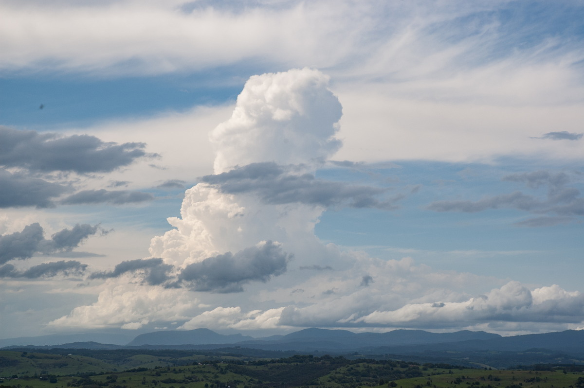 thunderstorm cumulonimbus_calvus : McLeans Ridges, NSW   22 November 2007