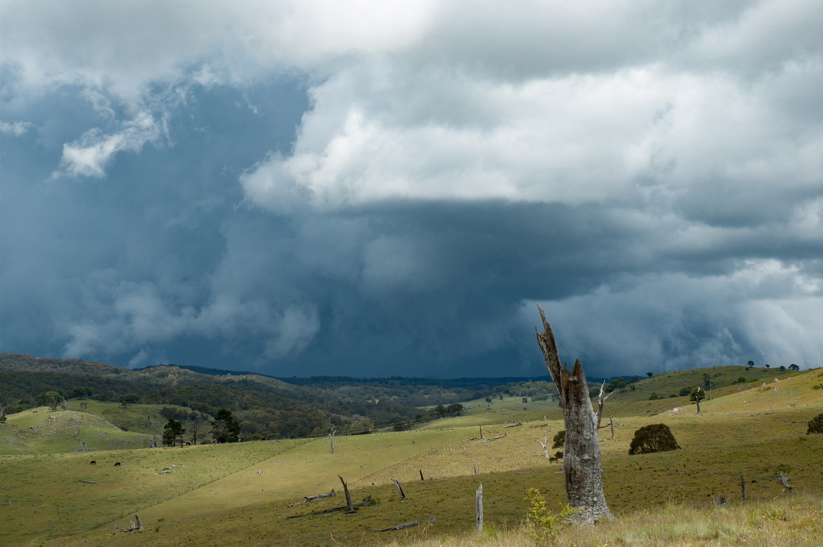 favourites michael_bath : near Tenterfield, NSW   23 November 2007