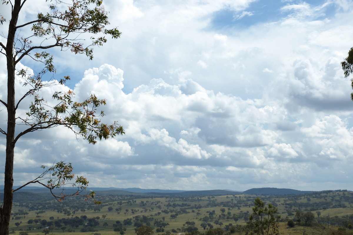 cumulus congestus : W of Tenterfield, NSW   23 November 2007