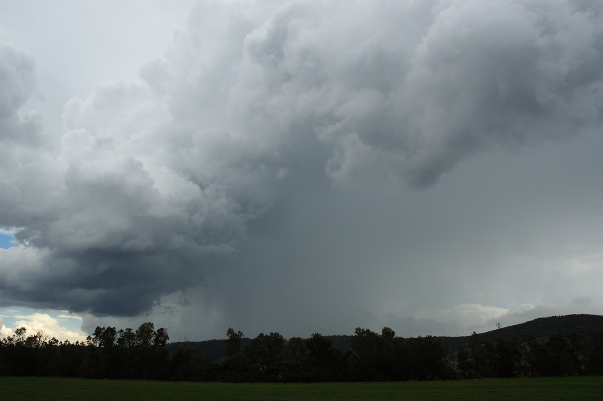 cumulonimbus thunderstorm_base : W of Tenterfield, NSW   23 November 2007