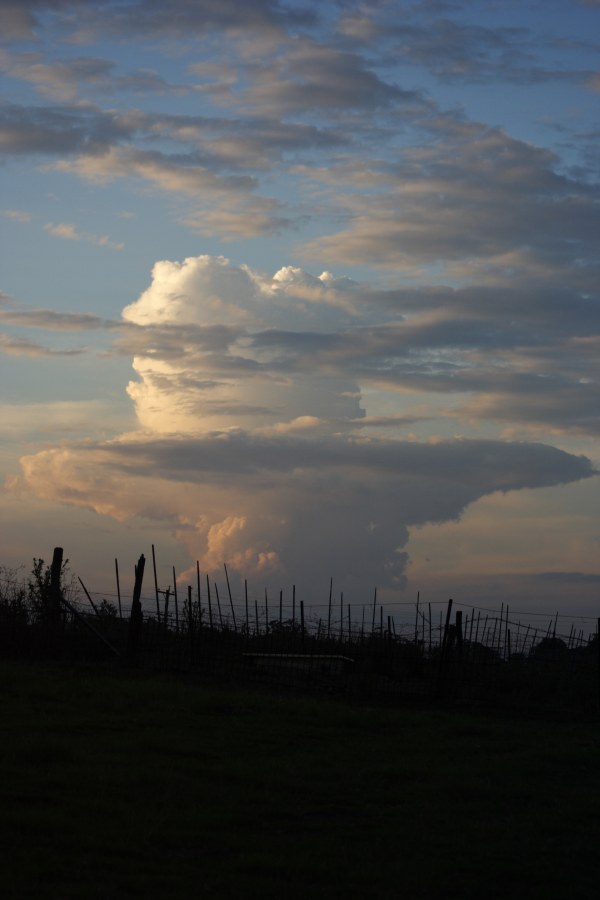 thunderstorm cumulonimbus_incus : Schofields, NSW   28 November 2007