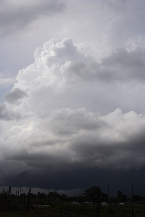 cumulonimbus thunderstorm_base : Schofields, NSW   30 November 2007