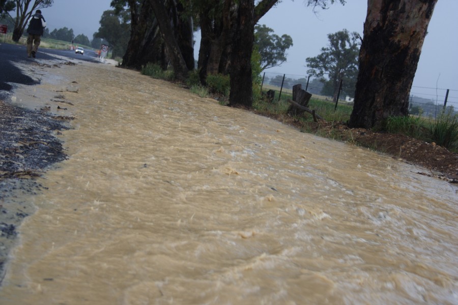 flashflooding flood_pictures : N of Gulgong, NSW   1 December 2007