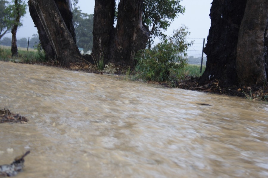 flashflooding flood_pictures : N of Gulgong, NSW   1 December 2007